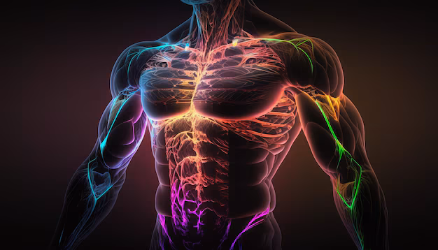 How to Spot Muscle Imbalances (Before They Lead to Injury)
