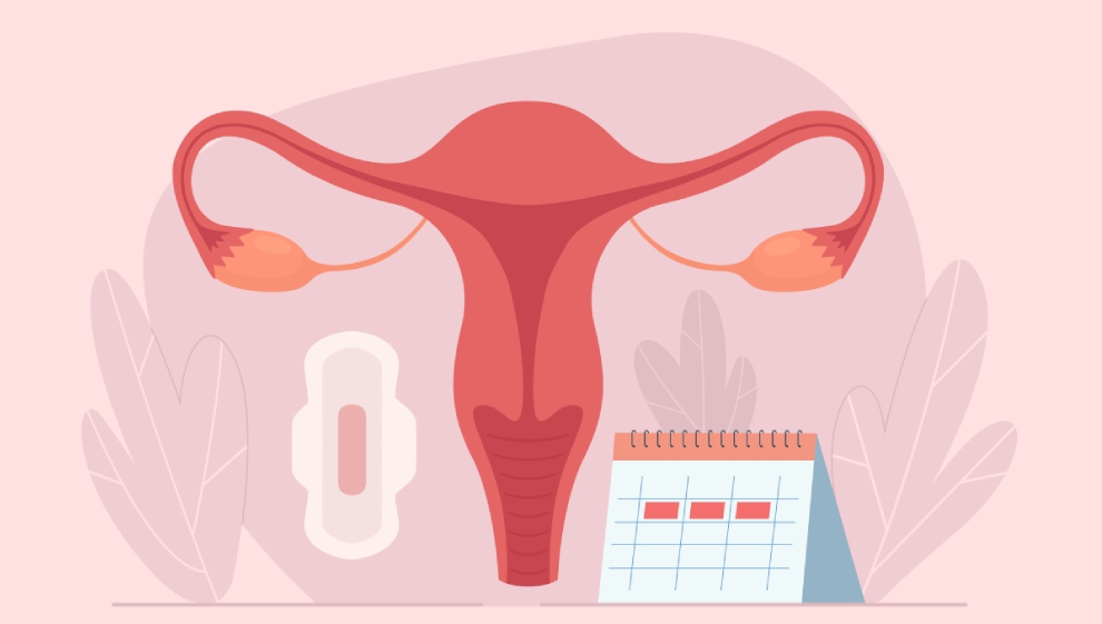 Can You Train During Your Menstrual Cycle?