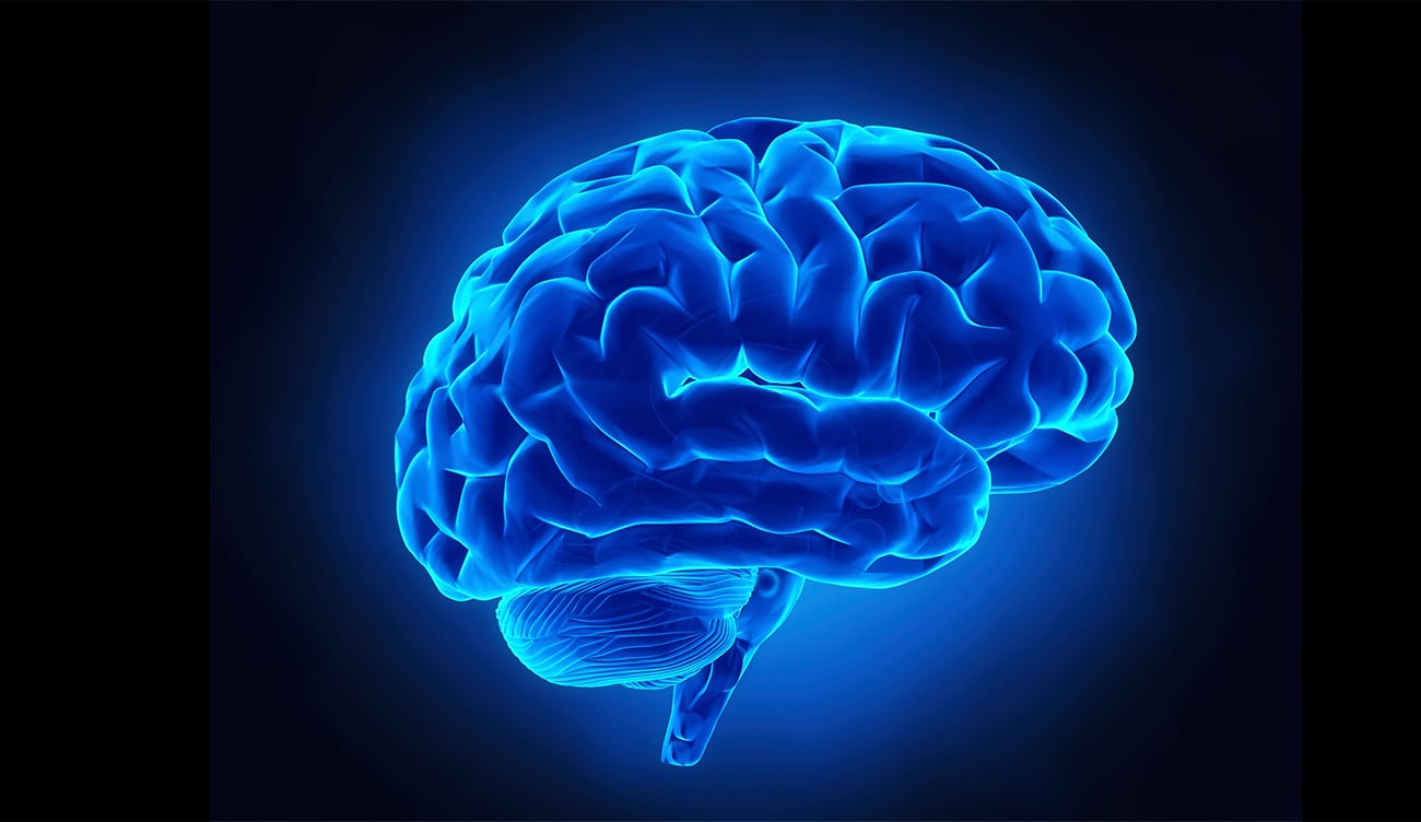 10 Fascinating Brain Facts