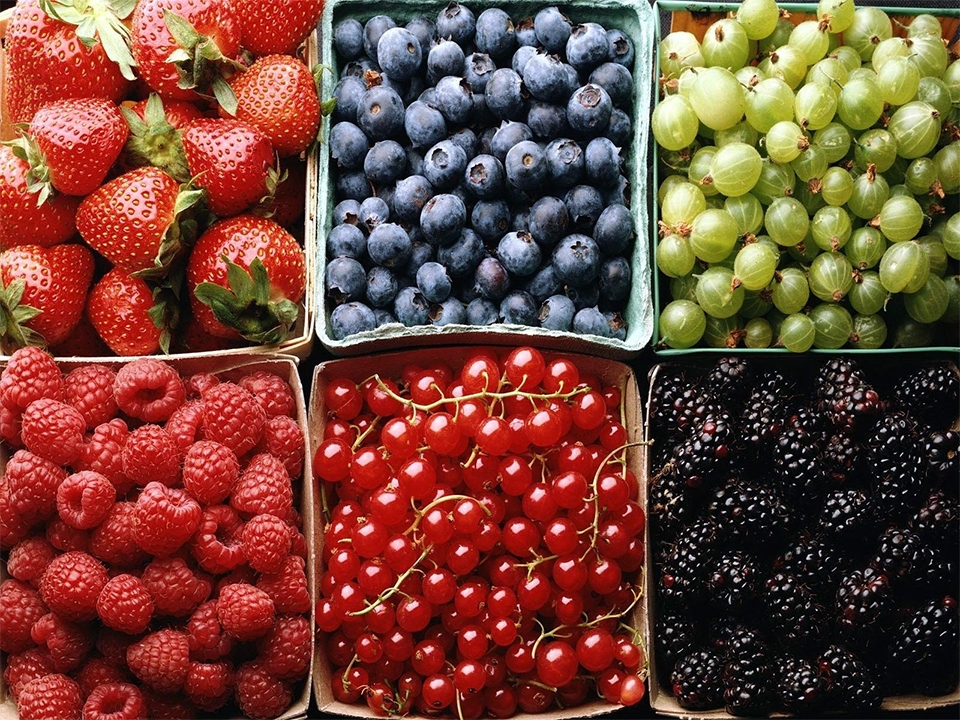 Berries Battle Parkinson’s