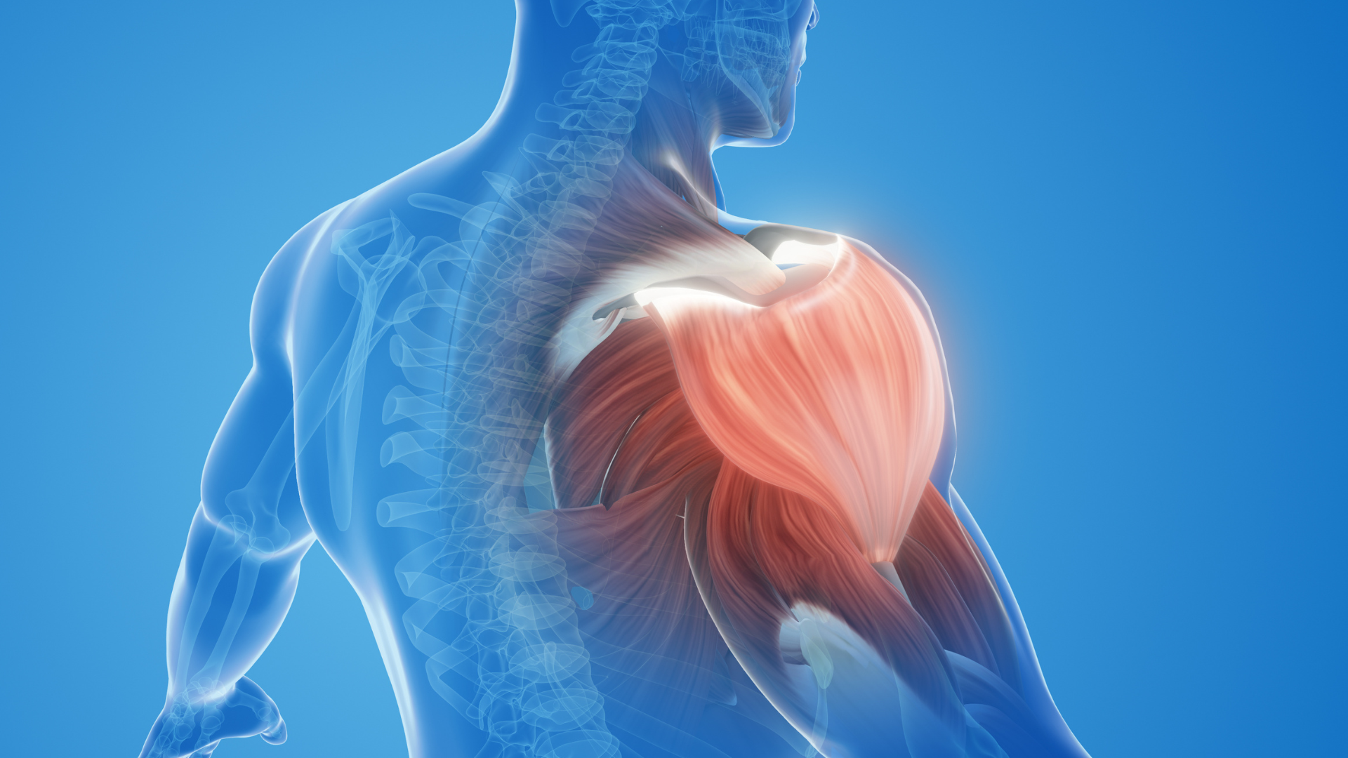Frozen Shoulder: Causes, Recovery, and How Training Helps