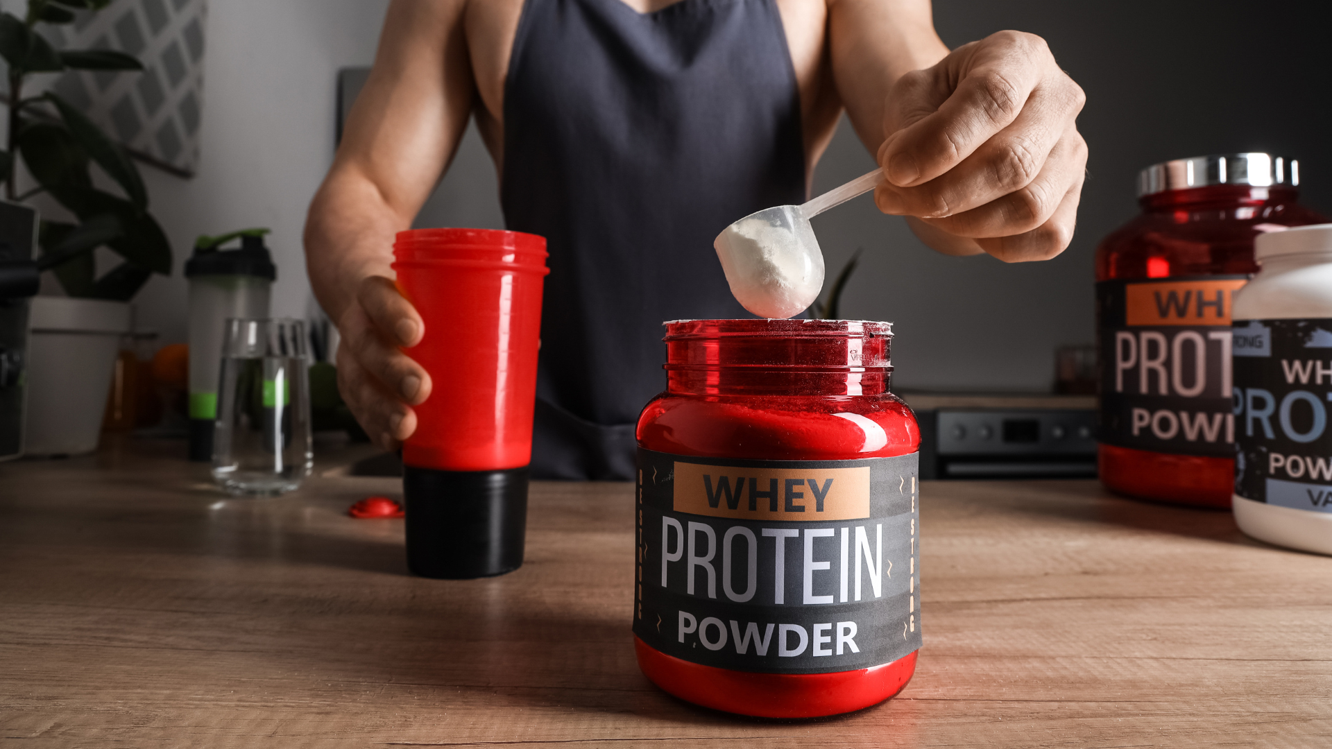 Does High Protein Damage Kidneys?